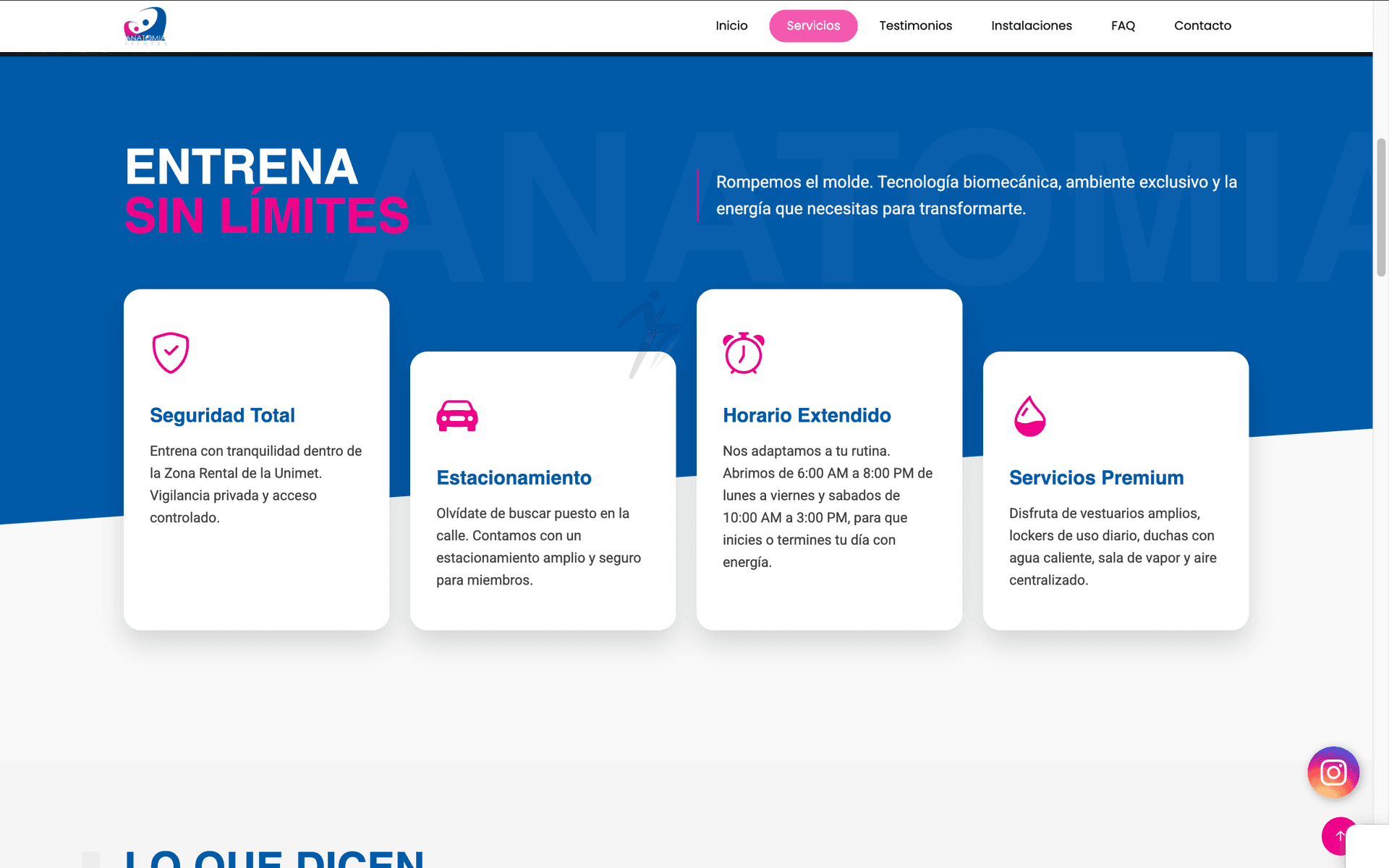 Vista previa de Anatomía Fitness Web
